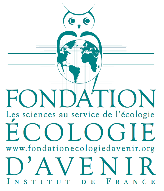 Screen Shot 2012-10-28 at 20.17.12