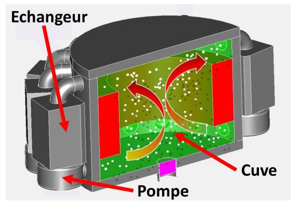 Réacteur Nucléaire Rapide à Sels Fondus