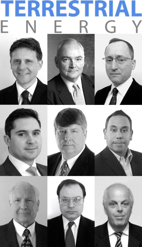 Terrestrial Energy Inc