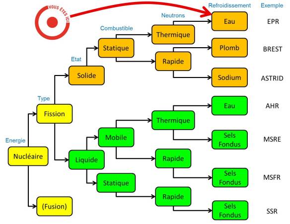 Branches technologiques
